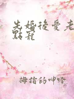 先婚后爱老公轻点宠