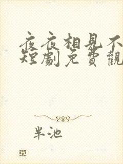 夜夜相见不识君短剧免费观看全集