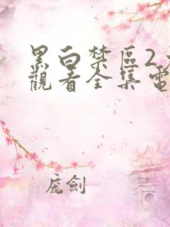 黑白禁区2免费观看全集电视剧