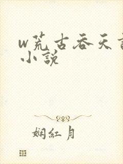 w荒古吞天诀》小说