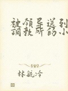 被领导送到私奴调教所的小说