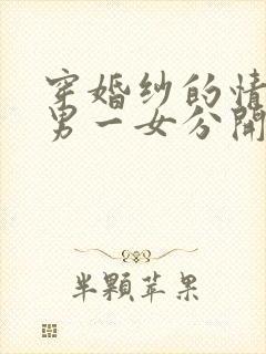 穿婚纱的情头一男一女分开