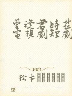 曾逢君时花照眼电视剧短剧观看