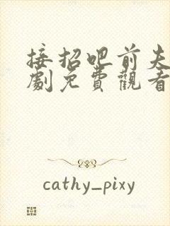 接招吧前夫哥短剧免费观看