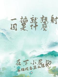 一插就想射的原因是什么