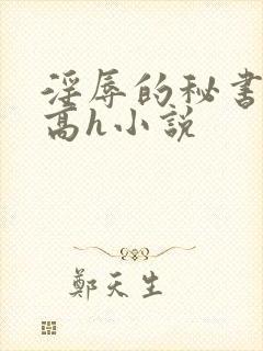 淫辱的秘书调教高h小说