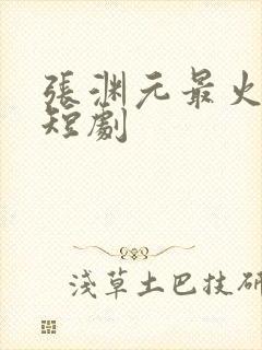 张渊元最火十部短剧