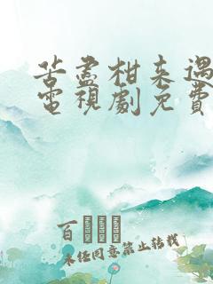 苦尽柑来遇见你电视剧免费观看