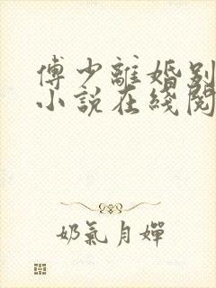 傅少离婚别纠缠小说在线阅读全文