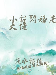 小说闪婚老公是大佬