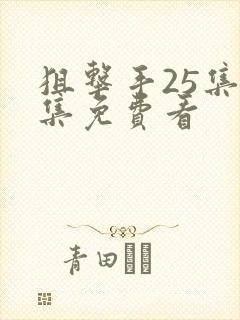 狙击手25集全集免费看