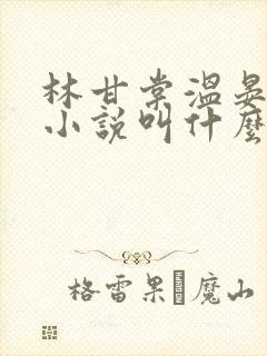 林甘棠温晏清的小说叫什么名字