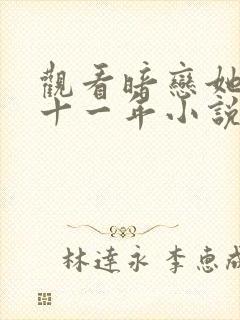 观看暗恋她的第十一年小说