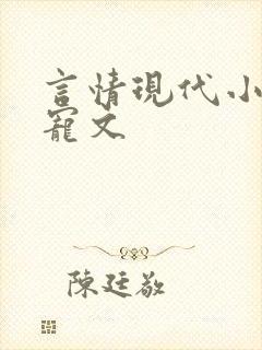 言情现代小说甜宠文