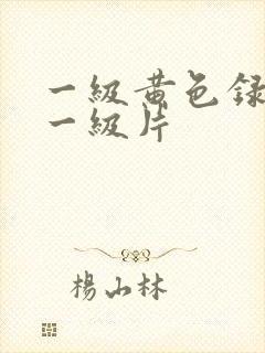 一级黄色录像片一级片