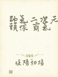 帅气二次元男生头像 霸气