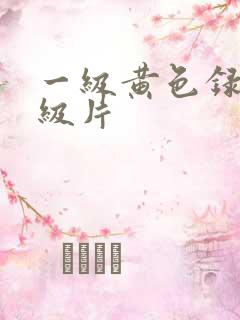 一级黄色录像一级片