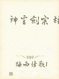 神霄剑宗 林枫