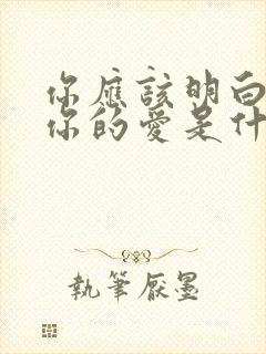 你应该明白我对你的爱是什么歌