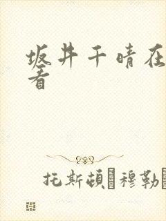 坂井千晴在线观看
