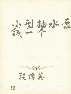 小型抽水泵多少钱一个