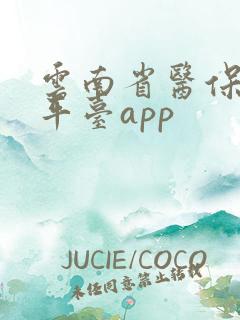 云南省医保服务平台app