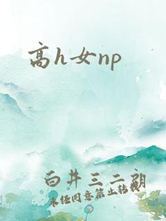 高h女np