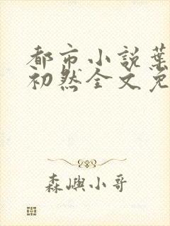 都市小说叶辰萧初然全文免费阅读138章