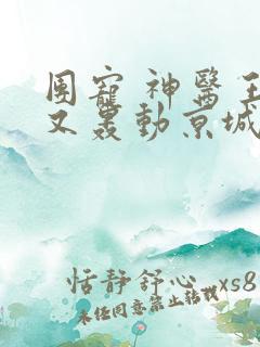 团宠 神医王妃又轰动京城了