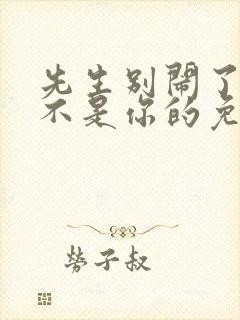 先生别闹了新娘不是你的免费观看全集