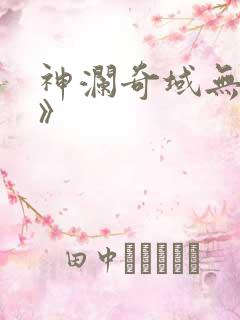 神澜奇域无双珠》