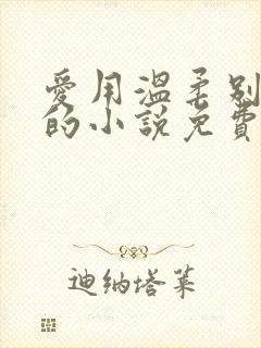 爱用温柔别余生的小说免费阅读