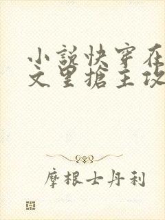 小说快穿在总受文里抢主攻免费阅读全文