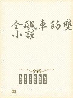 全飙车的双男主小说