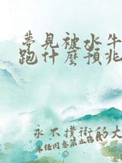 梦见被水牛追着跑什么预兆