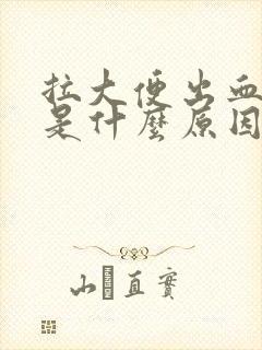 拉大便出血又痛是什么原因