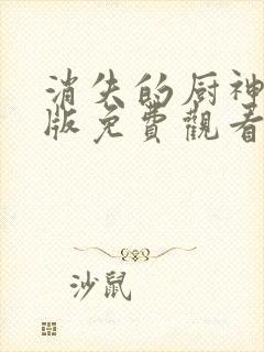 消失的厨神国语版免费观看