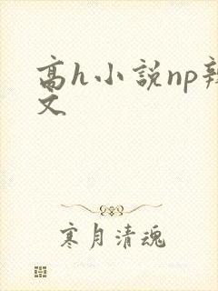 高h小说np辣文