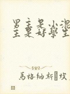 男主是小混混女主是好学生的小说