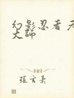 幻影忍者 元素大师