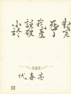 小说我死对头终于破产了完整版