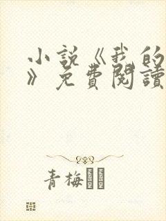 小说《我的荷姨》免费阅读