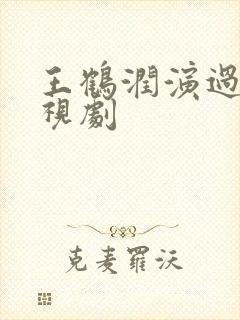 王鹤润演过的电视剧