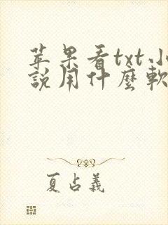 苹果看txt小说用什么软件