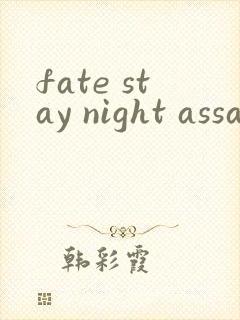 fate stay night assassin