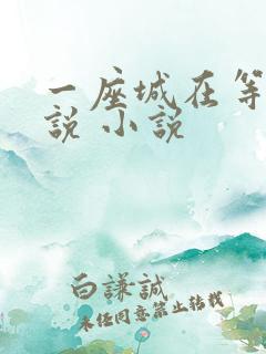 一座城在等你小说 小说