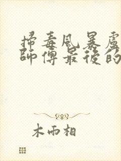 扫毒风暴卢少华师傅最后的结局