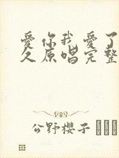 爱你我爱了那么久原唱完整版