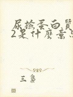 尿检蛋白质 +2是什么意思