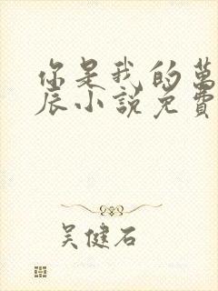 你是我的万千星辰小说免费阅读全文